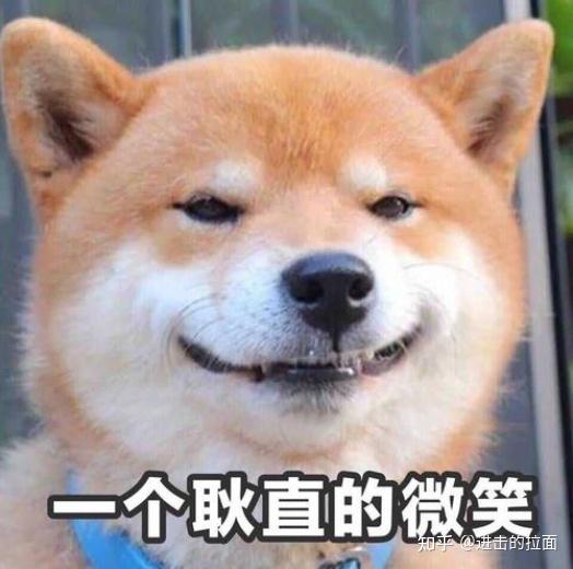 九阳破壁机哪个型号实用_九阳破壁机哪个型号好_九阳破壁机各种型号有什么区别