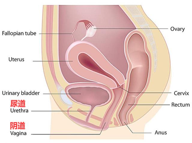 避孕贴 血块_避孕贴脱落_贴避孕贴流血不止
