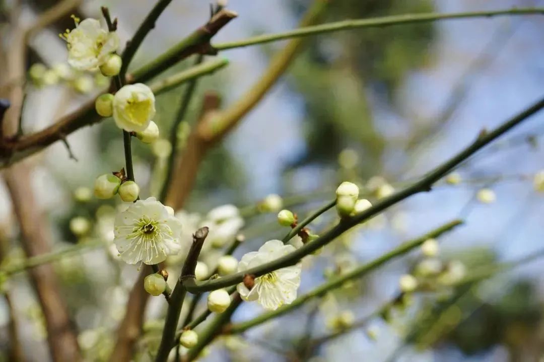 北京师范大学校友会排名_北京师大知名校友_北京师范大学校友