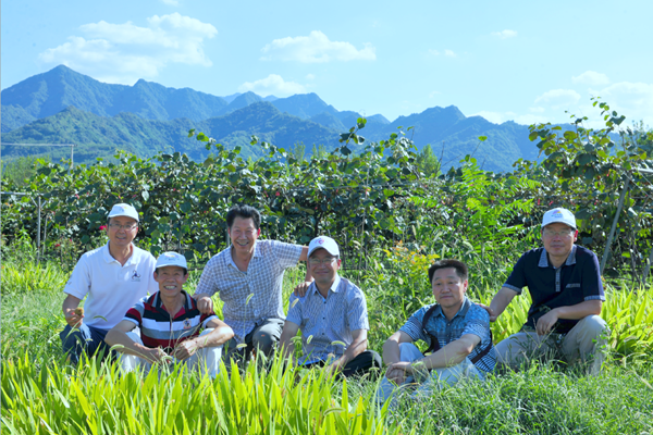 西北农林科技大学_西北农林科技大学门户_西北科技农林大学是985吗