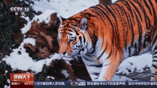 北京师范大学副教授_北京师范大学副校长_北京师范大学副教授评定