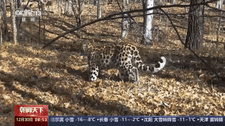 北京师范大学副校长_北京师范大学副教授_北京师范大学副教授评定