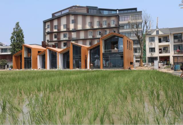 失败创业者的案例_失败创业案例分析_59store创业失败