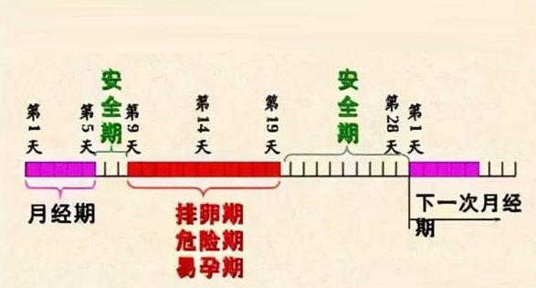 避孕贴能避孕多长时间_避孕贴多久可以行房_贴避孕贴可以打新冠疫苗吗