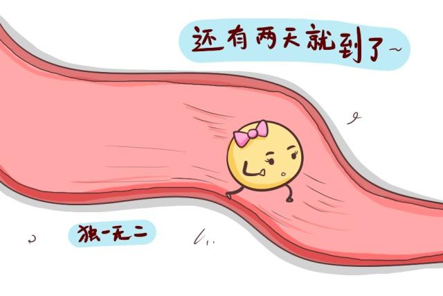 贴避孕贴流血不止_避孕贴 血块_避孕贴出血