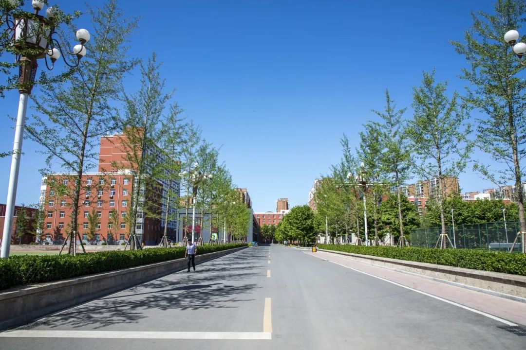 华侨生联考_华侨联考生毕业在国内好就业吗_华侨联考生政策