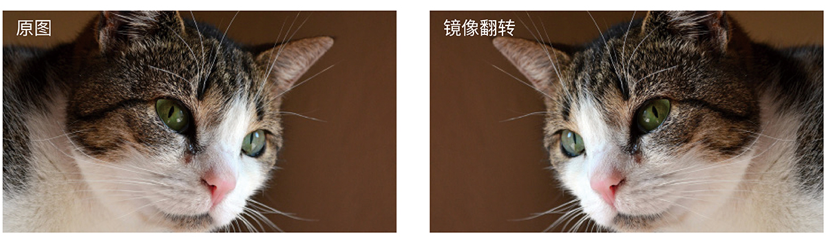 训道摄像机_bmd讯道摄像机_讯道摄像机