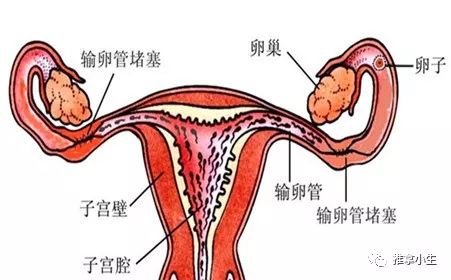 避孕贴可以避孕多久_贴避孕贴可以打新冠疫苗吗_避孕贴多久可以行房