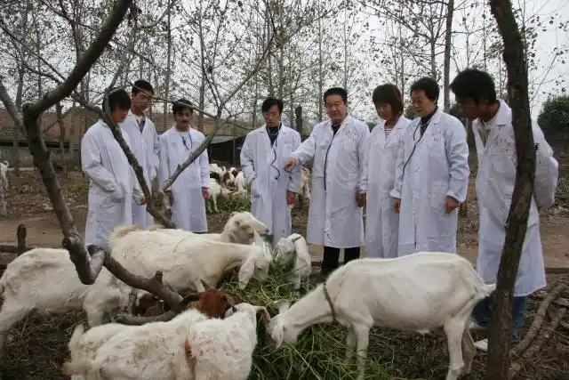 西北农林科技大学_西北科技农林大学是985吗_西北农林科技大简介