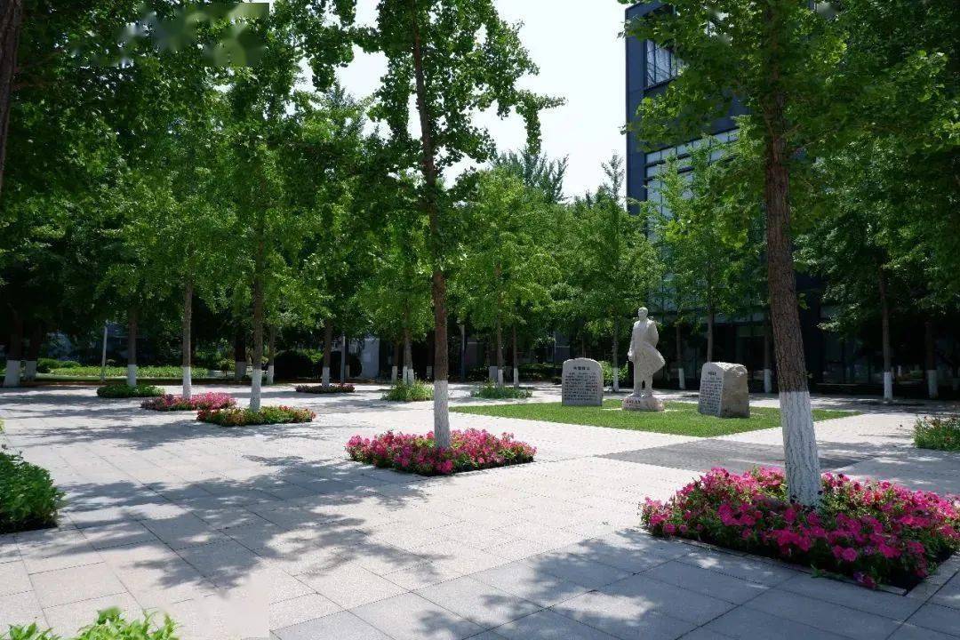 北京师大毕业出路_北京师范毕业好找工作吗_毕业于北京师范大学