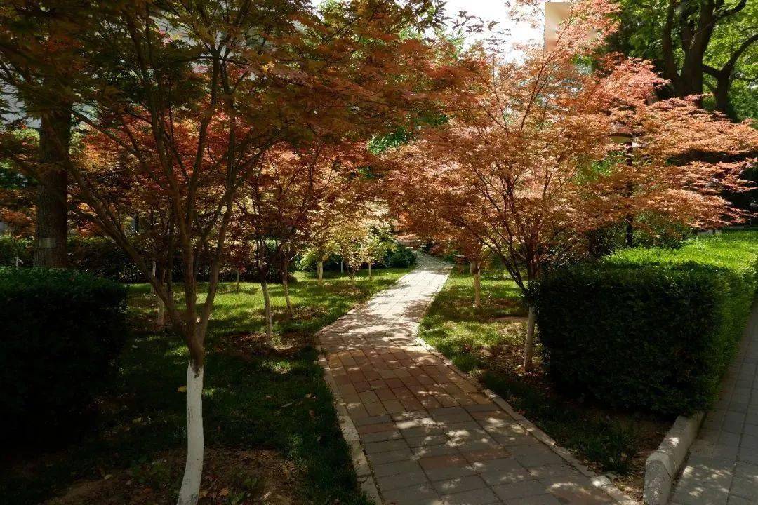 北京师大毕业出路_毕业于北京师范大学_北京师范毕业好找工作吗