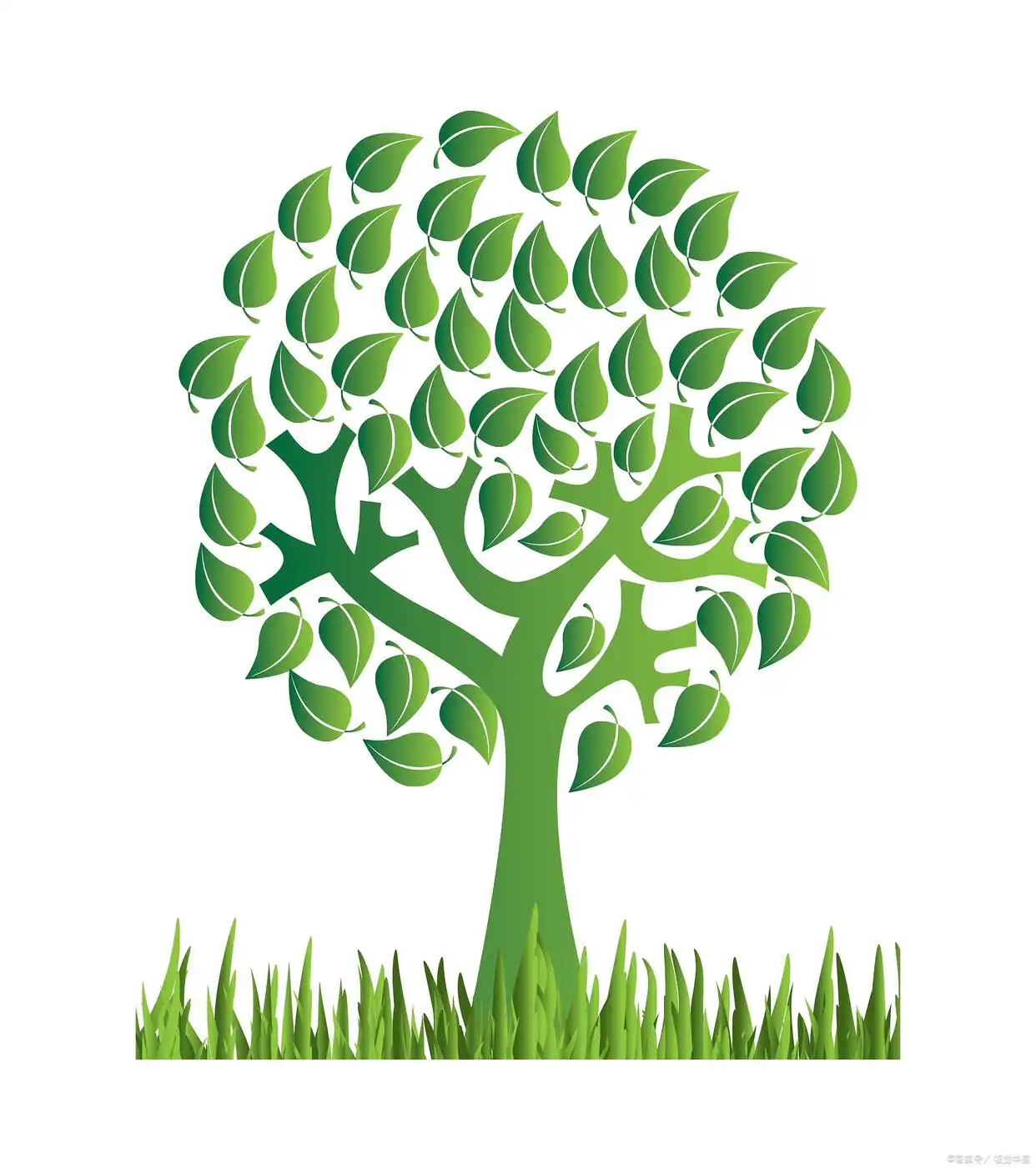 西北科技农林大学排名_西北农林科技大学_西北农林科技大简介