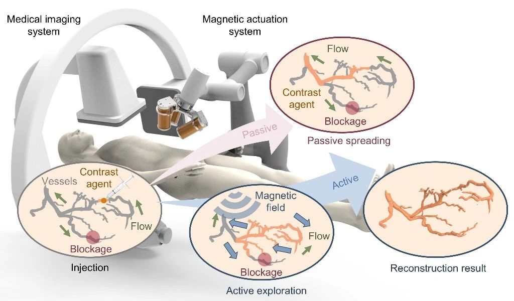 香港中文大学深圳学院_香港大学中文系深圳校区_香港中文大学(深圳)