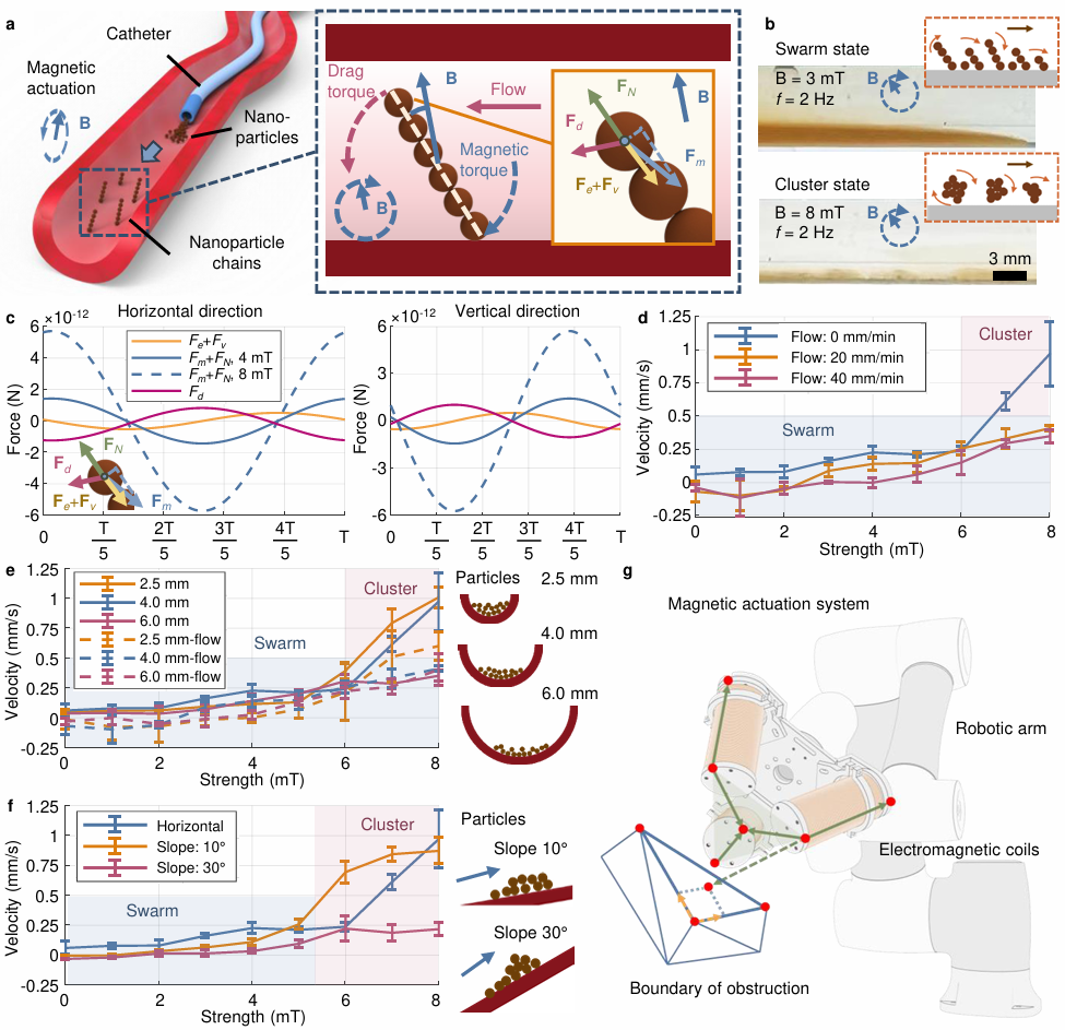 香港中文大学深圳学院_香港中文大学(深圳)_香港大学中文系深圳校区