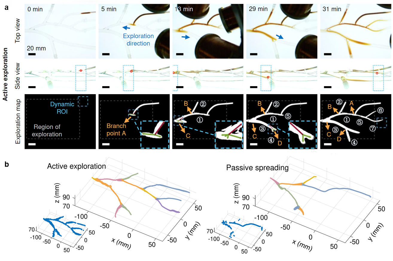 香港中文大学深圳学院_香港大学中文系深圳校区_香港中文大学(深圳)