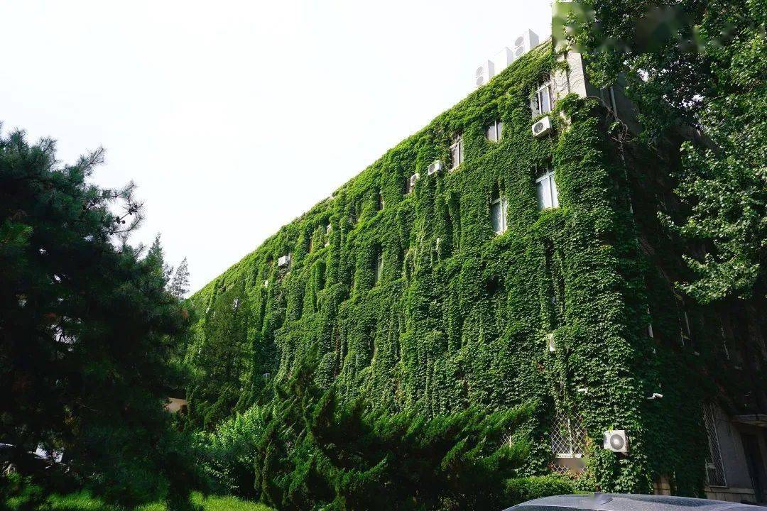 毕业于中国人民大学_毕业于人民大学_中国人民大学毕业去向