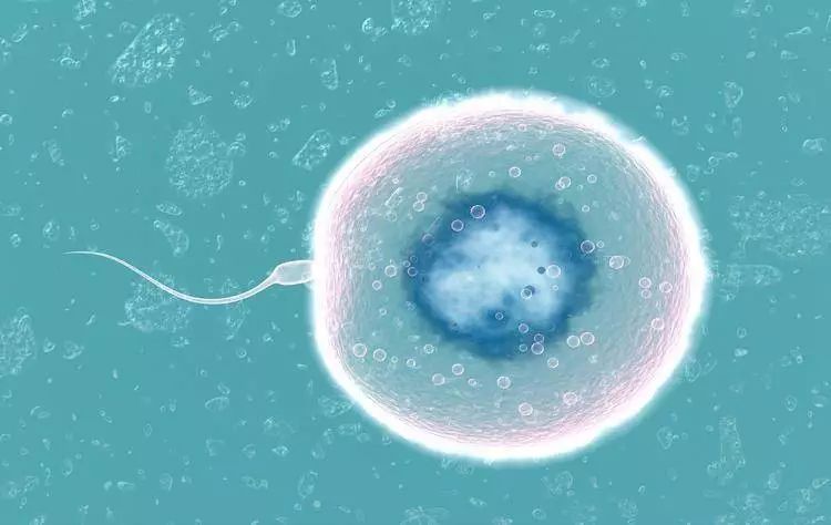 避孕贴可以紧急避孕吗_避孕贴能同房吗_避孕贴可以贴同一个地方吗