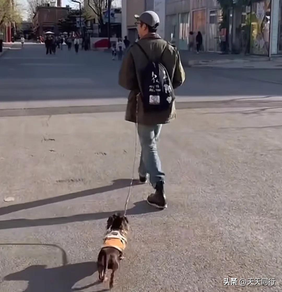 北京师大毕业出路_毕业于北京师范大学_北京市师范生毕业怎么分配
