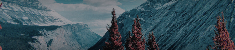 安卓最好用番茄钟_番茄钟哪个好用_好用的番茄钟推荐