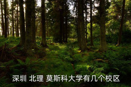 2021北理莫斯科深圳大学_深圳北大莫斯科大学_深圳北理莫斯科大学