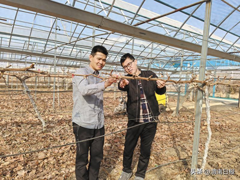 西北农林大学科技大学官网_西北科技农林大学是985吗_西北农林科技大学
