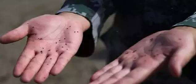 烟雾机的故障与维修_烟雾机_烟雾机打药效果怎么样