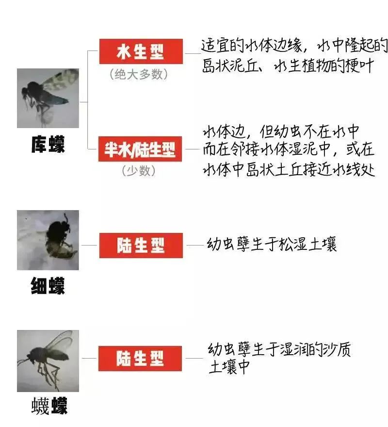 烟雾机_烟雾机的故障与维修_烟雾机打药效果怎么样