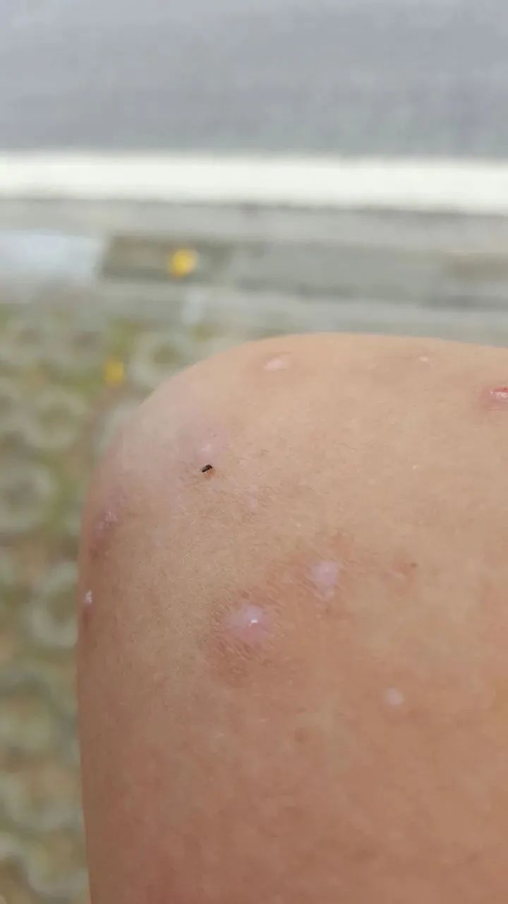 烟雾机的故障与维修_烟雾机打药效果怎么样_烟雾机