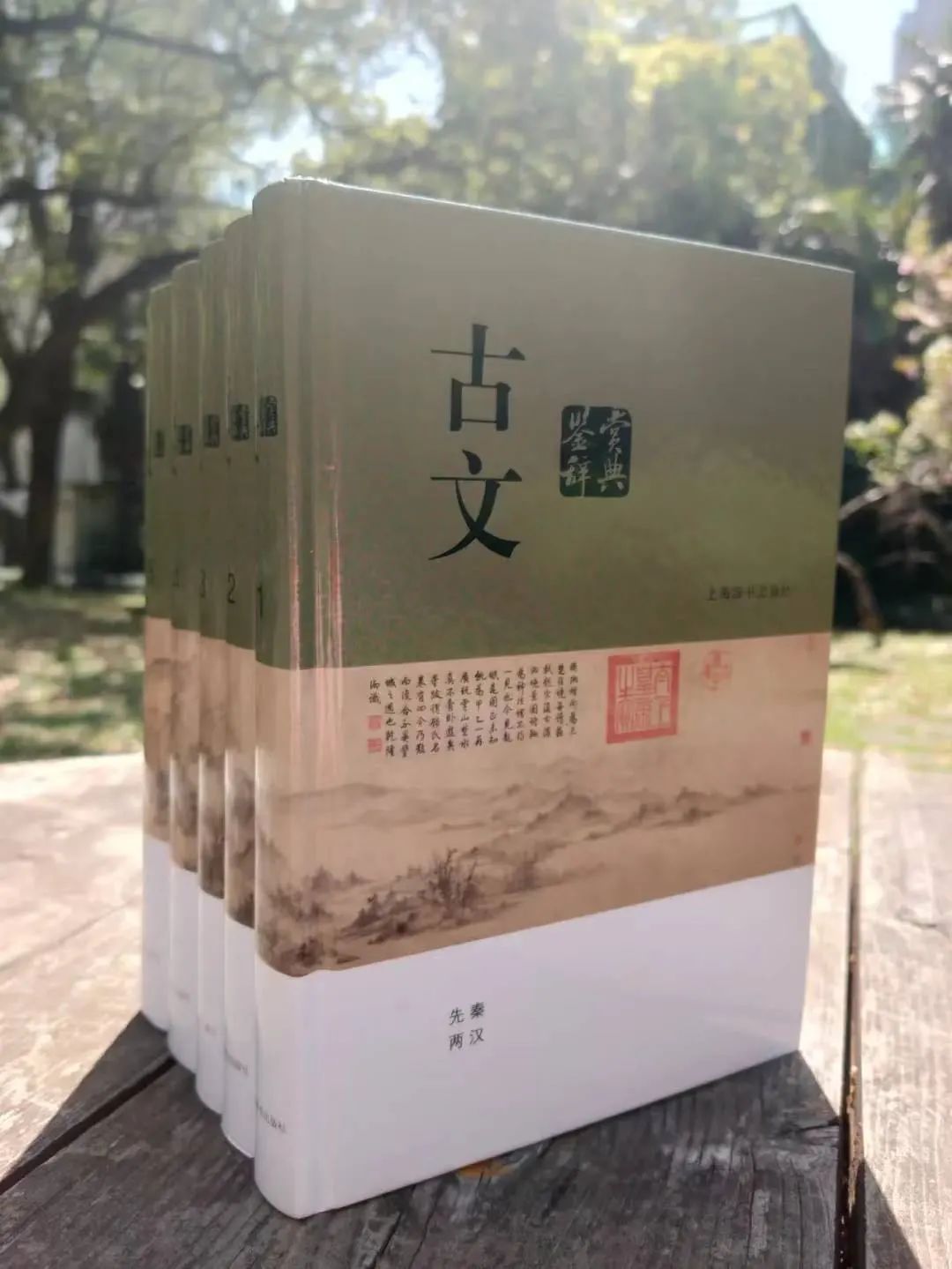 魏晋南北朝隋唐的文学作品_中国古代文学作品选：第二卷魏晋南北朝隋唐五代卷_魏晋南北朝隋唐文学