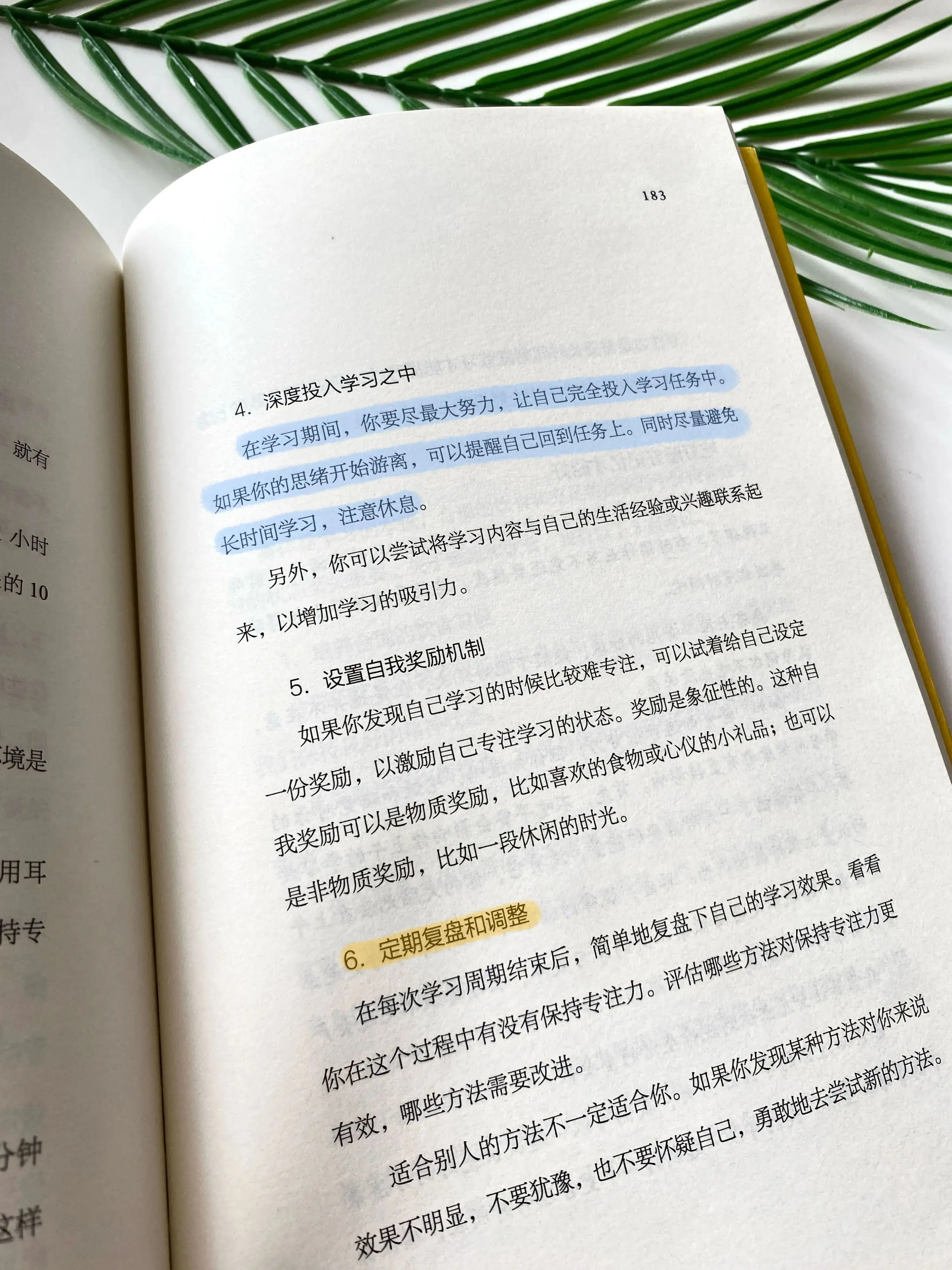 番茄时间管理表_番茄钟怎么设置桌面计时_番茄钟日程管理
