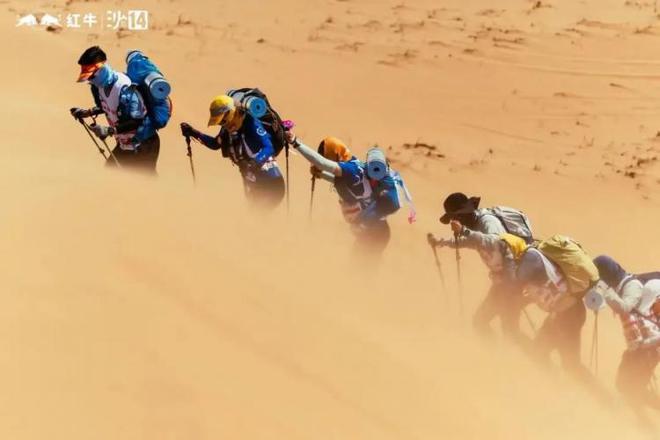 西北农林大学科技大学官网_西北农林科技大学门户_西北农林科技大学