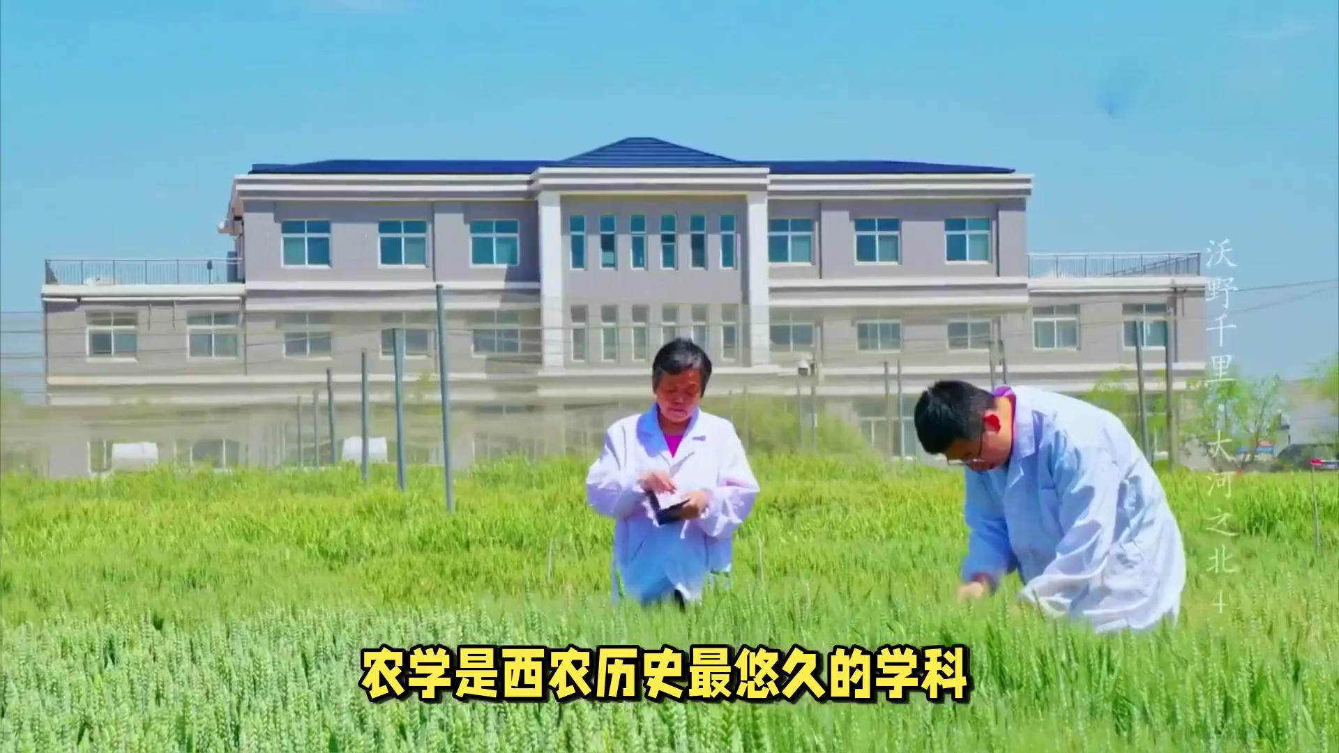 西北科技农林大学排名_西北农林科技大学_西北农林科技大学门户