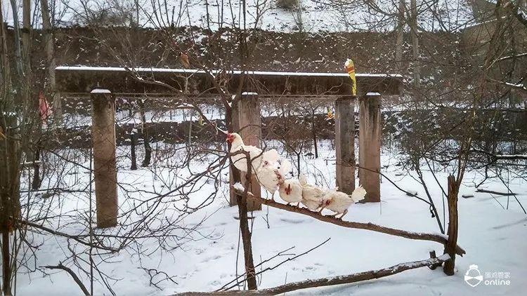 白领失败创业的原因_白领失败创业成功案例_白领创业失败