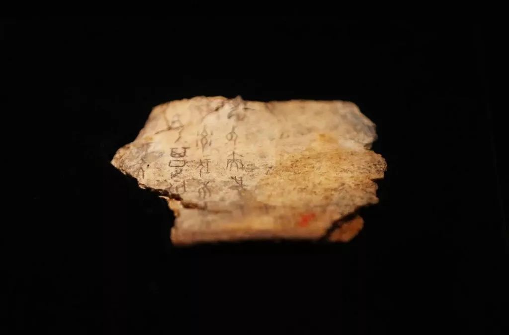 张玉金古文字学_张玉金古文字学_张玉金古文字学