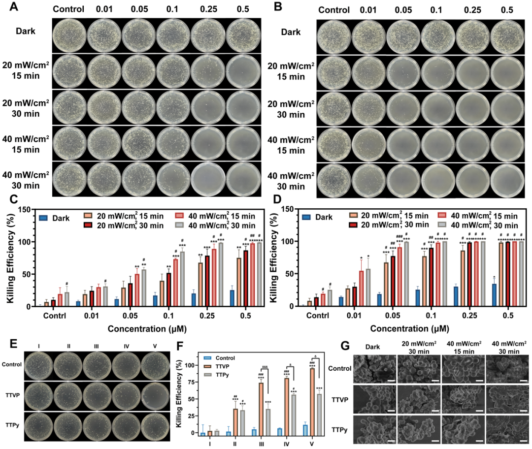 港中深复旦金融_港中深面试_港中深