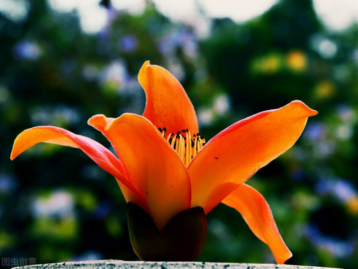 马云创业时的艰难到最后的成功_马云创业过程中的10次失败_马云谈创业失败