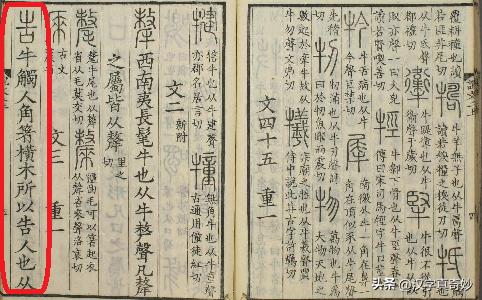 张玉金古文字学_张玉金古文字学_张玉金古文字学