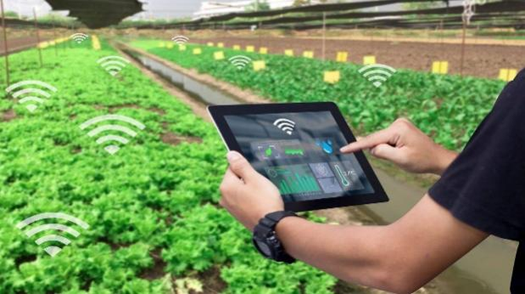 西北农林科技大学_西北农林大学科技大学官网_西北农林科技大简介