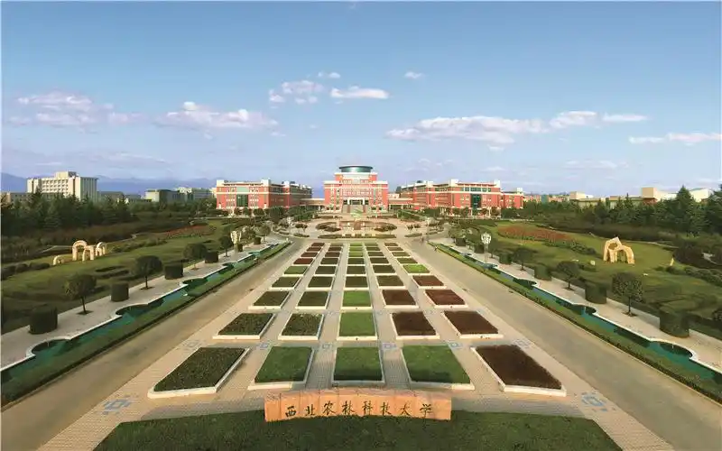 西北农林科技大学_西北科技农林大学排名_西北科技农林大学是985吗