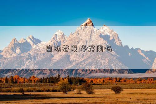 卷发棒卷发型_卷发棒什么好_卷发棒好用吗