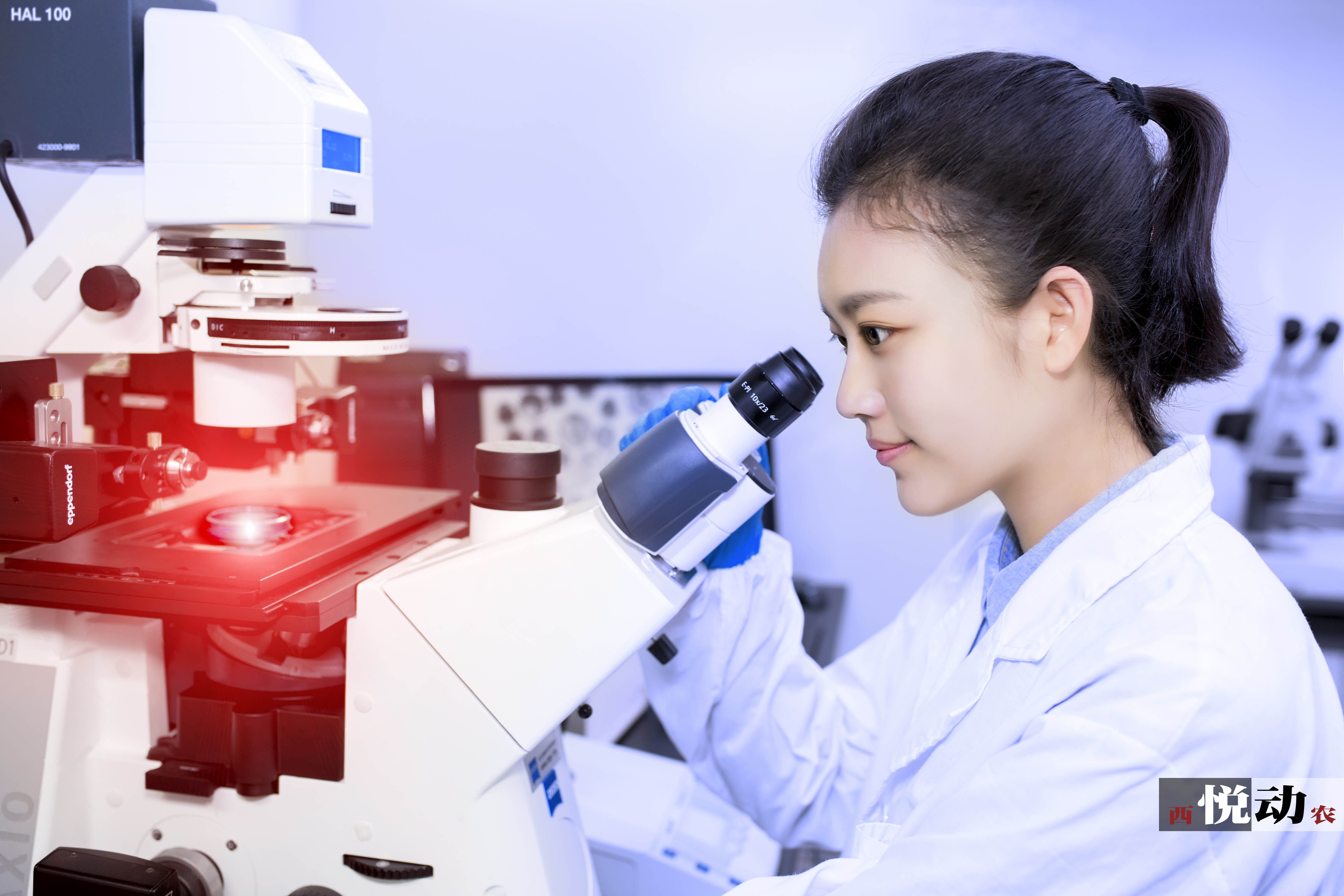 西北农林科技大学_西北科技农林大学排名_西北科技农林大学是985吗