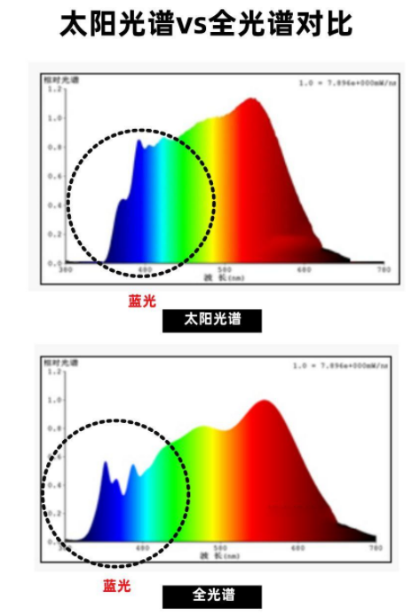 护眼大路灯推荐_大路灯如何安装_大路灯选购技巧
