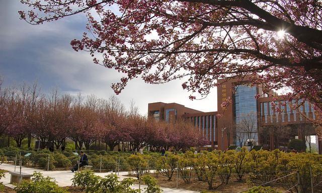  西北农林科技大学学科评估 _西北农林科技大学 985高校排名 _西北农林科技大学