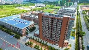 深圳北理莫斯科大学 深圳龙岗区国际大学 深圳高等教育洼地改变_深圳北理莫斯科大学
