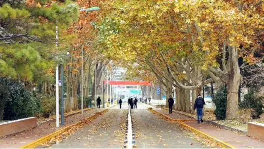 师范类大学就业去向_北京师范大学就业情况_北京师范大学毕业