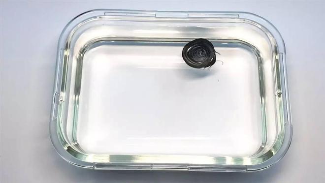 白板笔灌水的方法图示_科学实验水中作画_白板笔化学特性实验