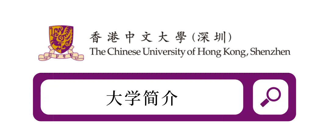  香港中文大学（深圳）博文奖学金申请 _港中大深圳_香港中文大学（深圳）2023年招生简章 
