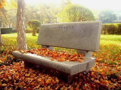 西北农林科技大学新生攻略_西北农林科技大学_西农校园美食推荐