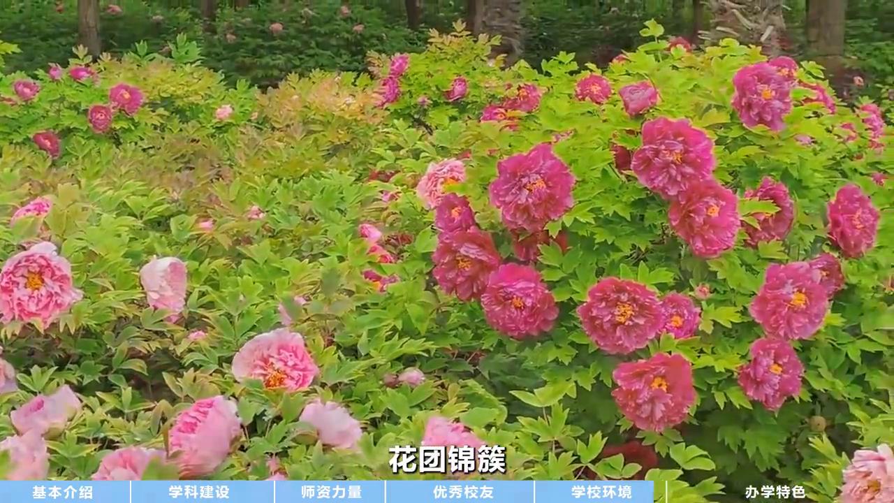 西北农林科技大学_西北农林科技大学 双一流建设学科 _ 国家重点学科 农业科技主题博物馆 