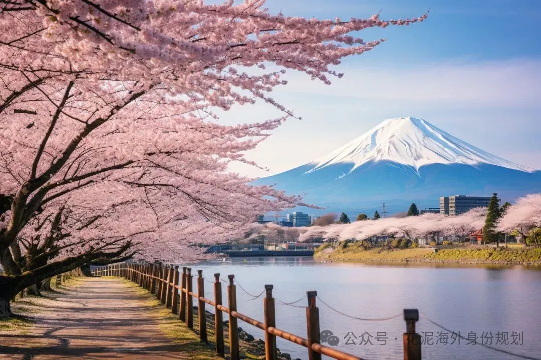 华侨生联考录取数据_华侨生联考_日本身份规划升学